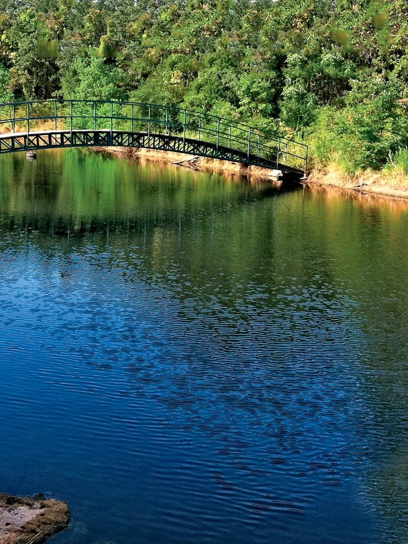 Aquasphere Pond Cleaners - Image 3