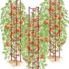 Tomato Ladders, Set Of 3