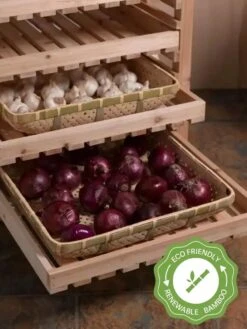 Bamboo Trays, Set Of 2