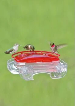 Window Hummingbird Feeder