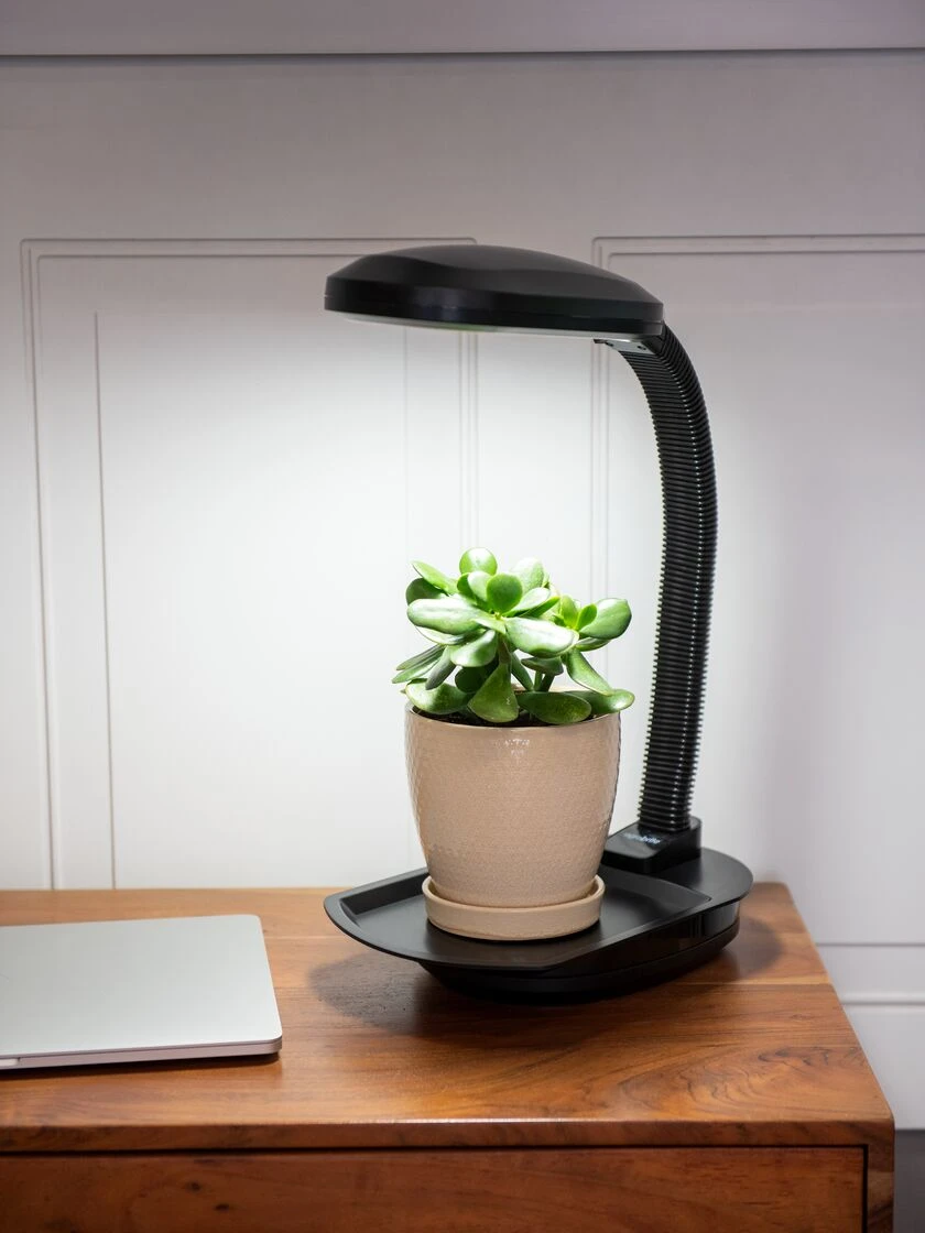 Agrobrite Desktop Plant Light - Image 2