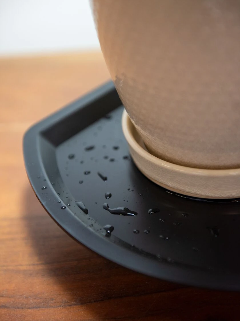 Agrobrite Desktop Plant Light - Image 3