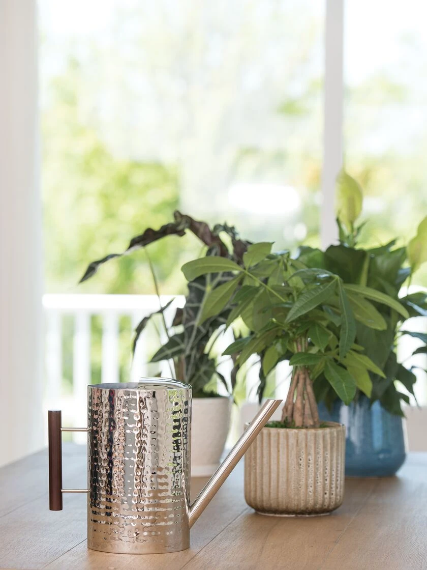 Stainless Steel Watering Can - Image 2