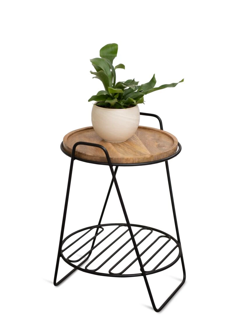 Hairpin Plant Stand With Shelf - Image 2