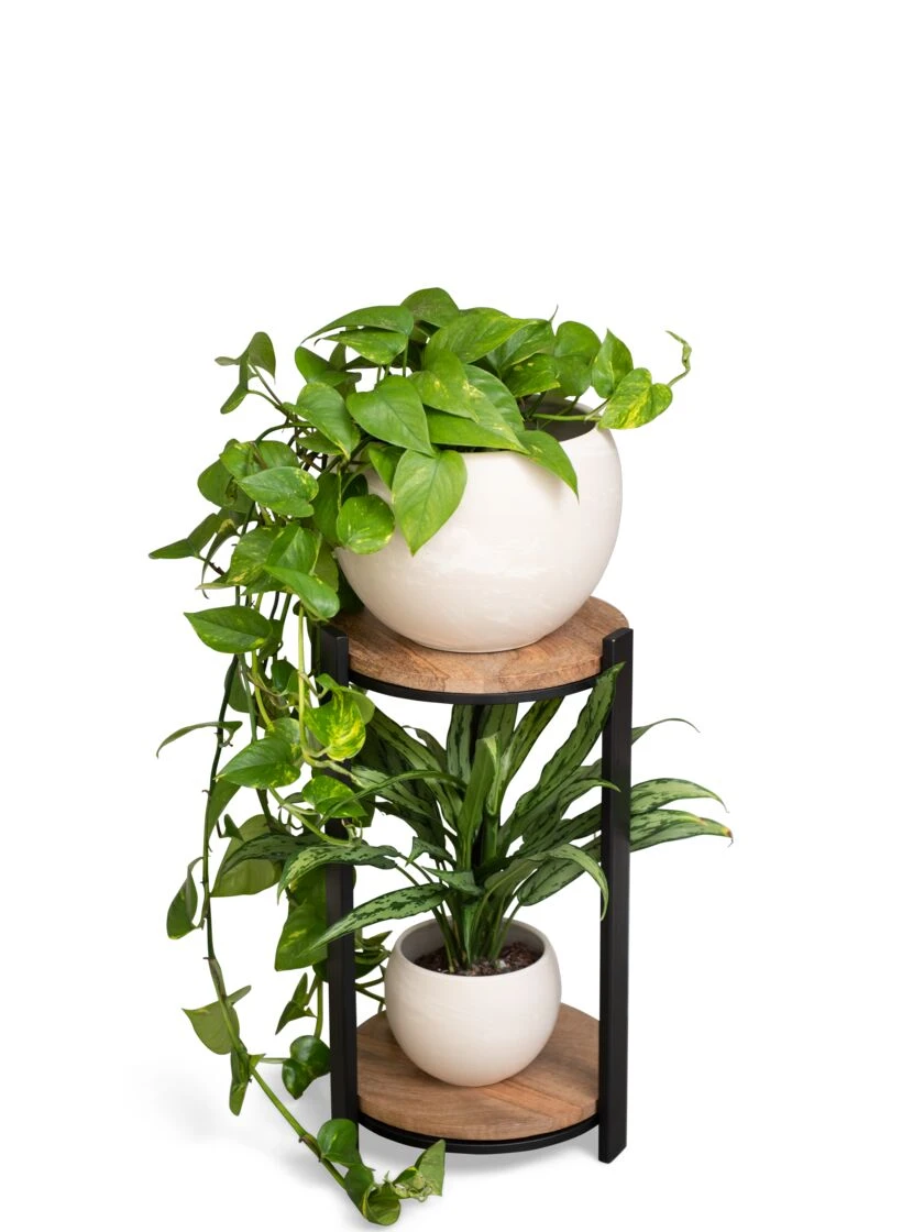Double Tower Plant Stand - Image 2