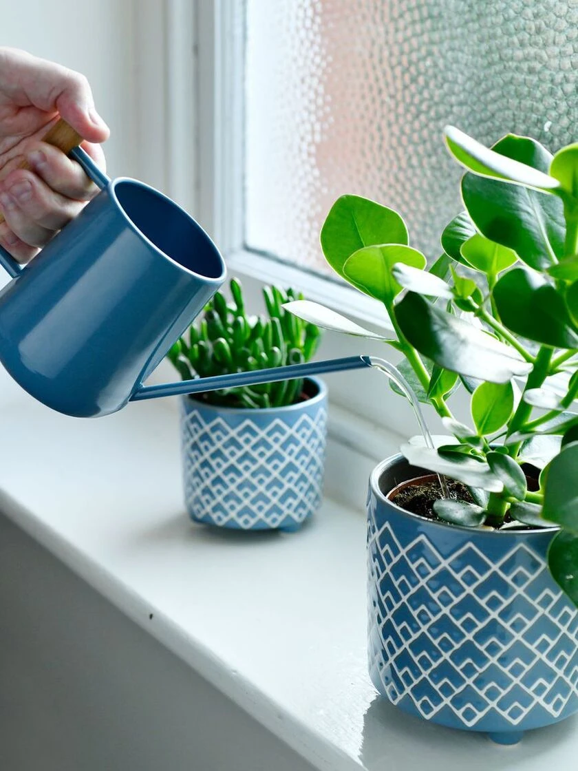 Pinpoint Indoor Watering Can - Image 4