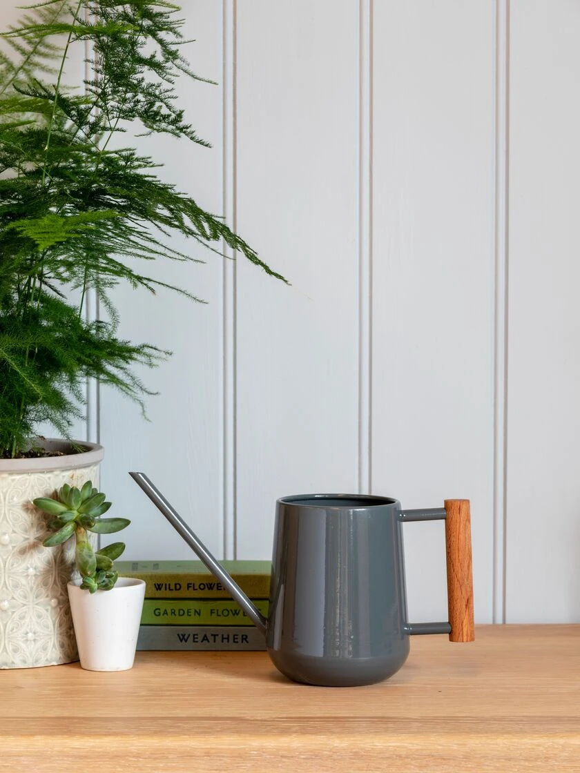Pinpoint Indoor Watering Can - Image 3