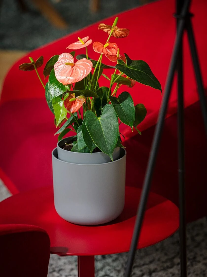 Tolita Recycled Self-Watering Flower Pot, 8" Diameter