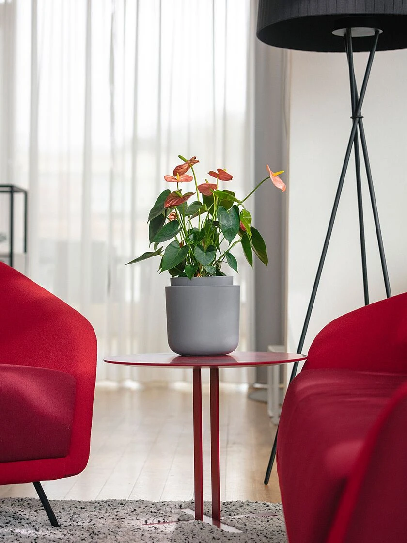 Tolita Recycled Self-Watering Flower Pot, 8" Diameter - Image 2