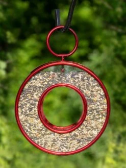Circle Fly-Thru⢠Bird Feeder With A Ruby Red Finish