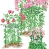 Grow Through Supports, Set Of 3