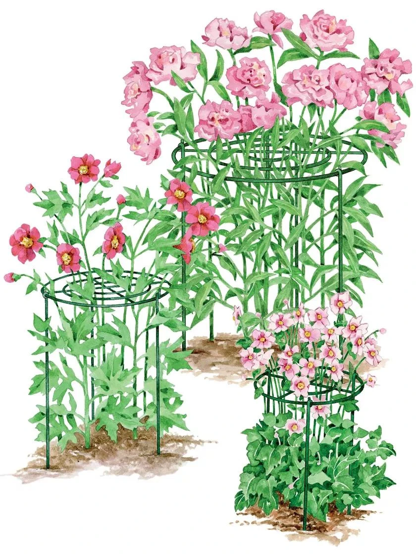 Grow Through Supports, Set Of 3