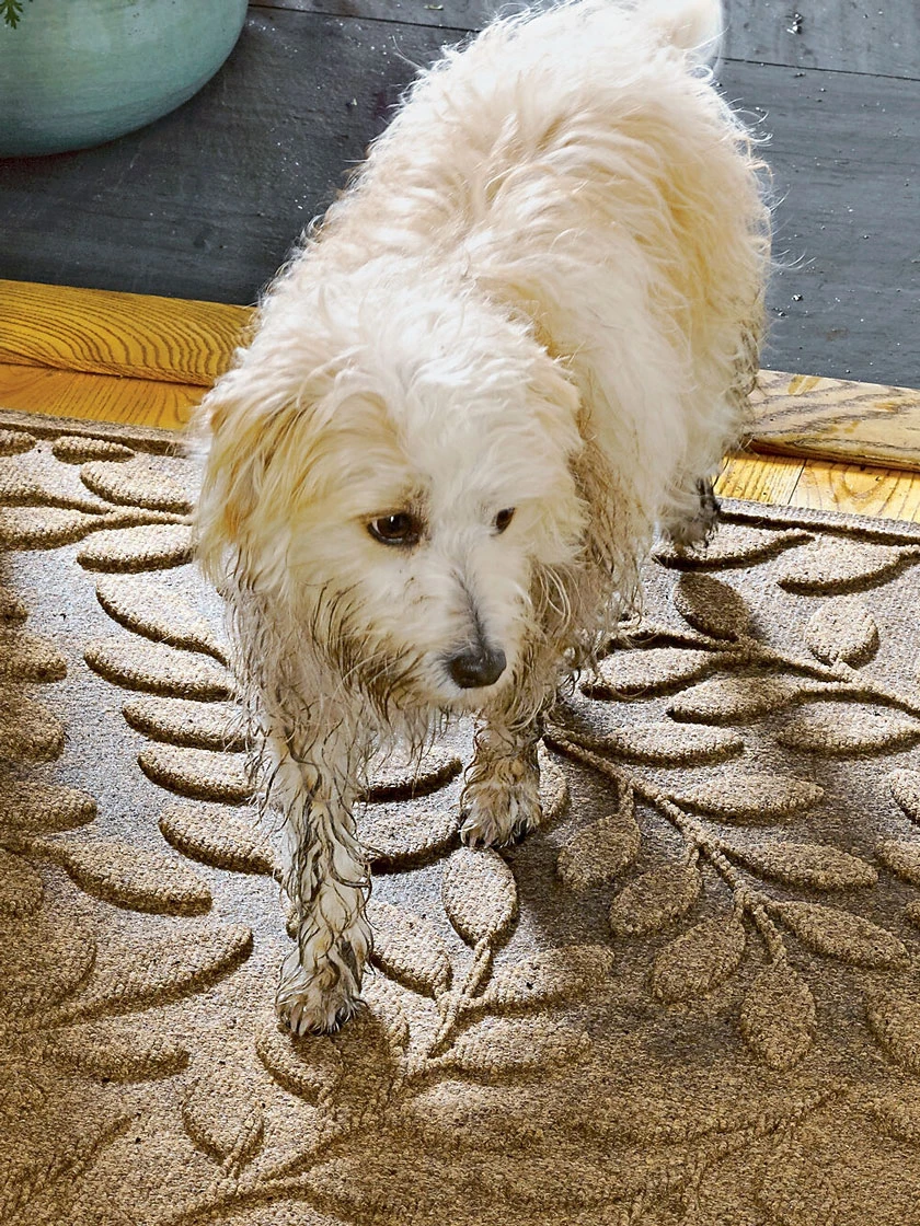 Laurel Leaf Water Glutton Runner Mat, 36" X 84" - Image 2