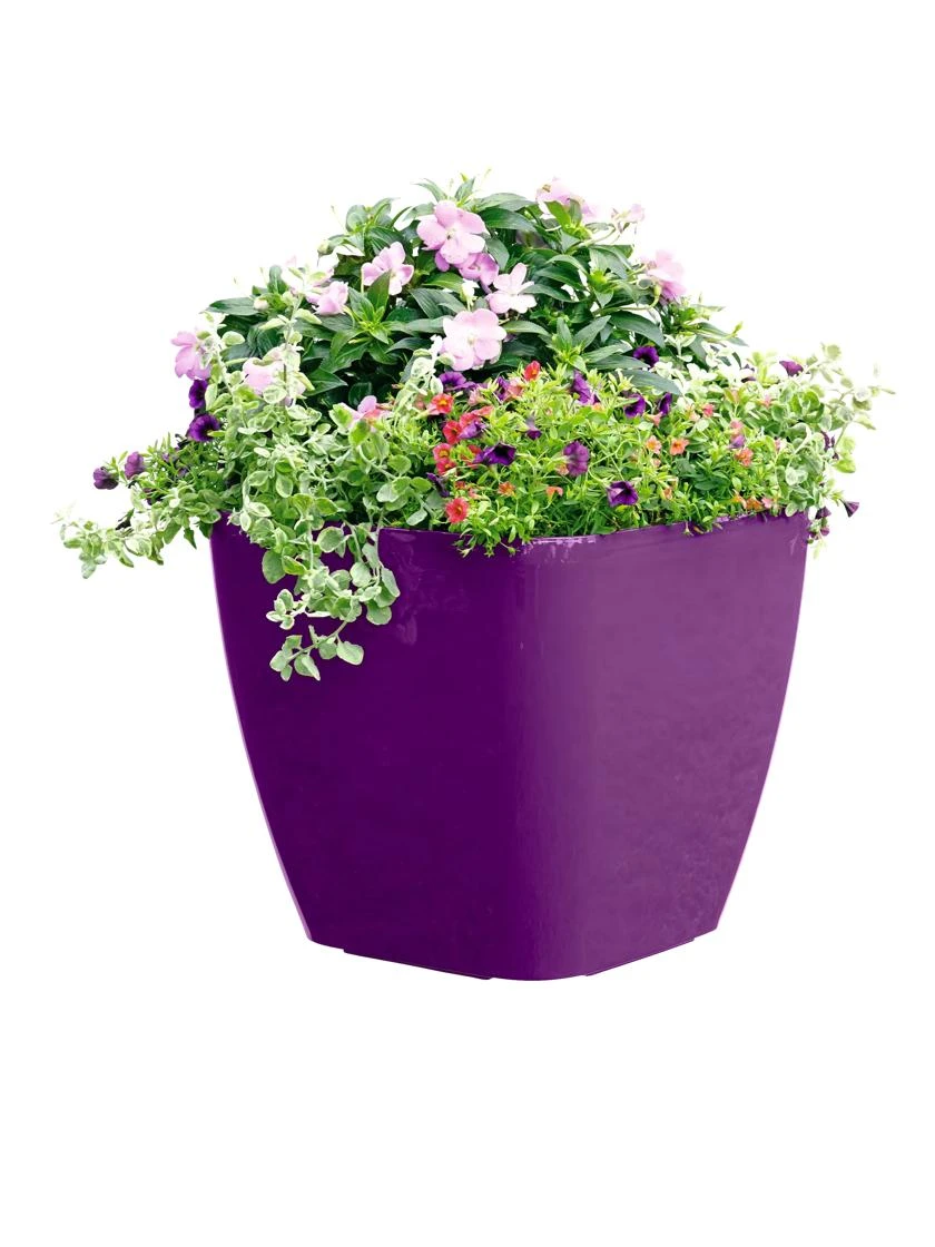 Viva Square Self-Watering Rolling Planter, 17.5" Diameter - Image 4