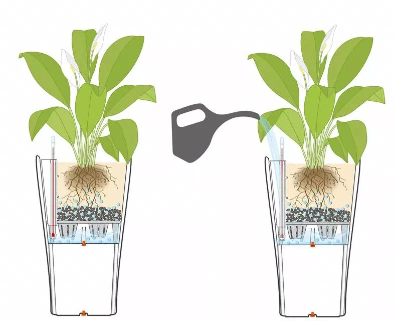 Lechuza® Delta Premium Self-Watering Planters - Image 4