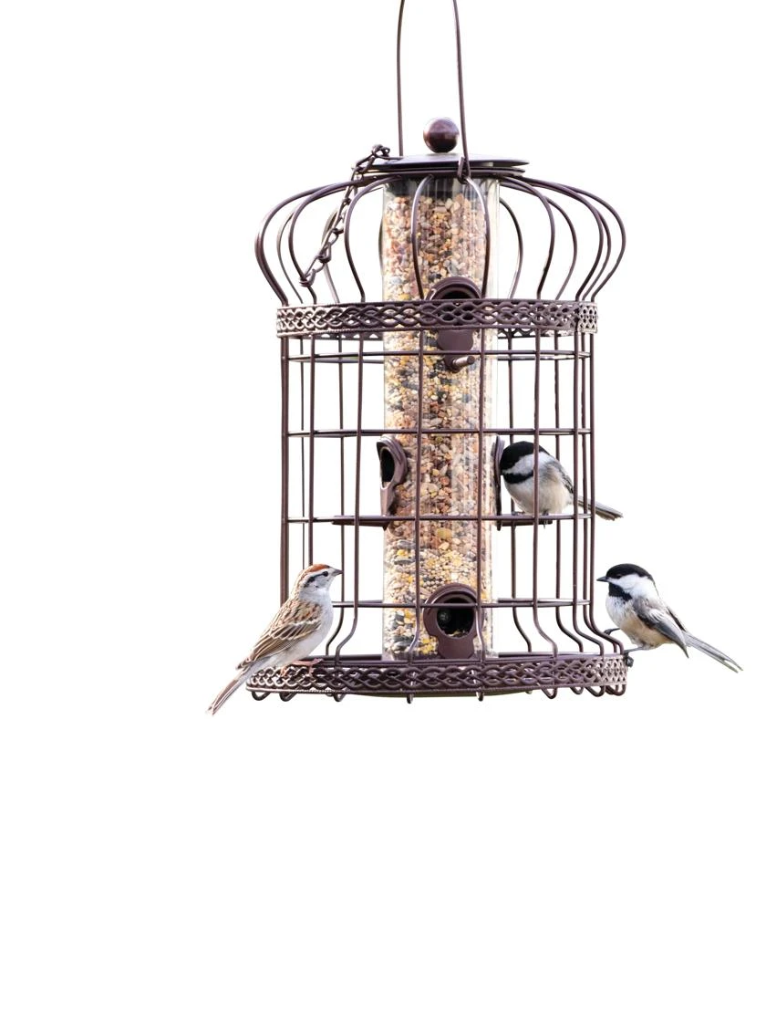 Edwardian Bird Feeder - Image 3