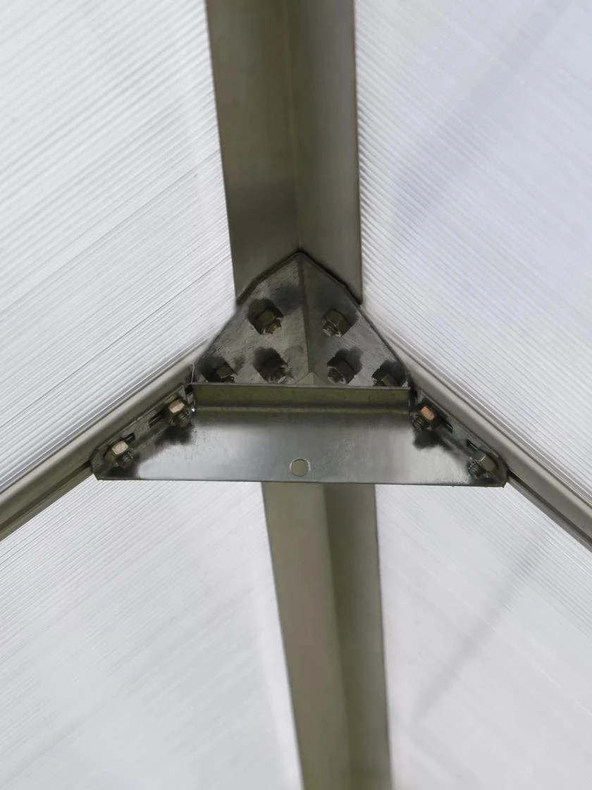 Canopia® By Palram Essence™ Greenhouse, 8' X 12' - Image 10