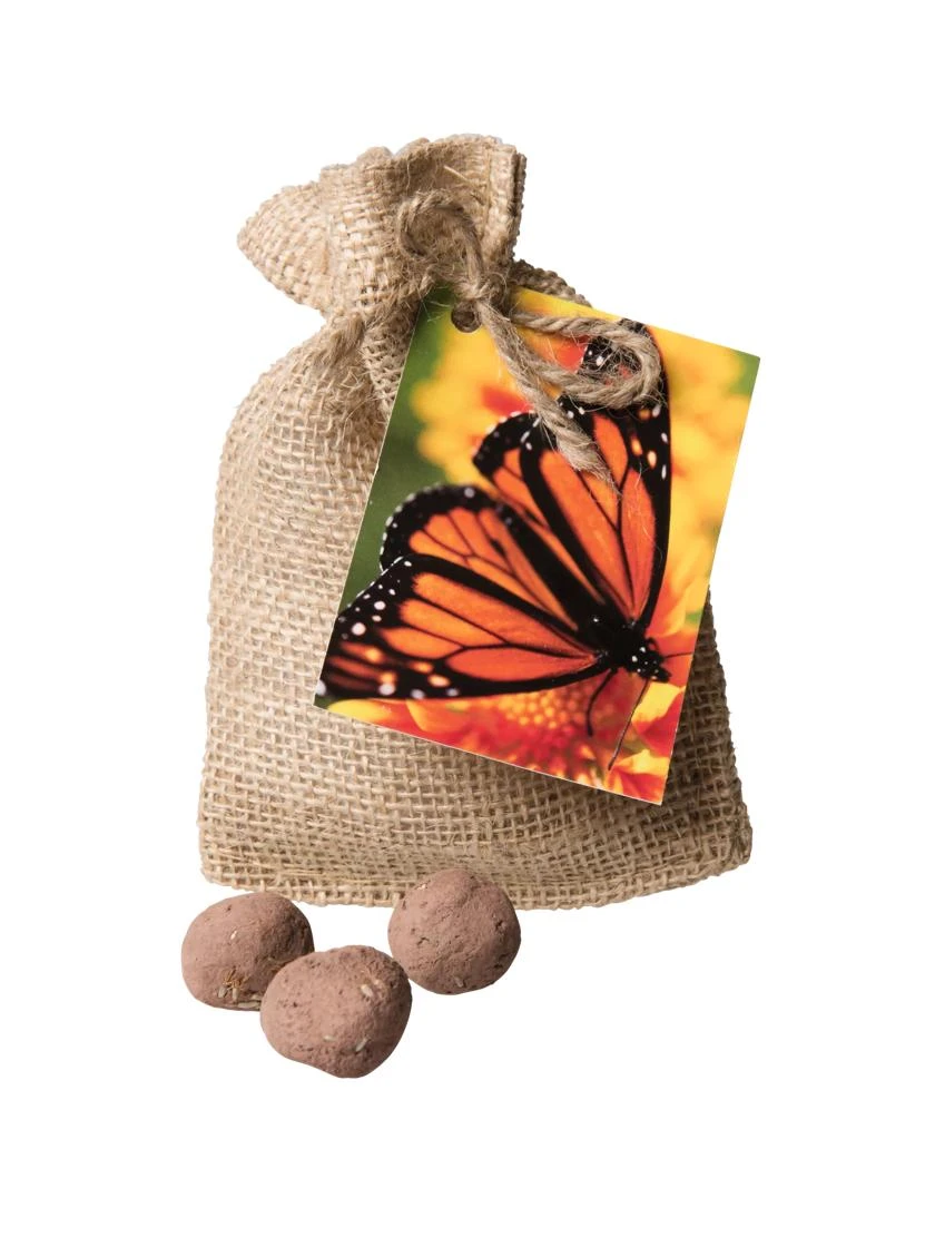 Monarch Butterfly Seed Balls