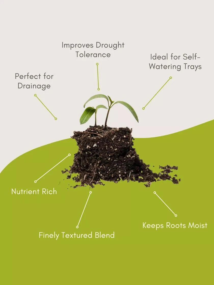Seed Starting Mix, 9 Qts. - Image 6
