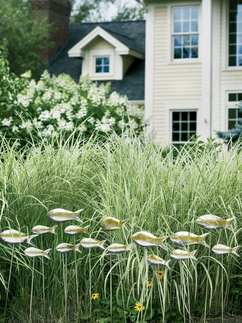 Fish Out Of Water Garden Stakes, Set Of 5