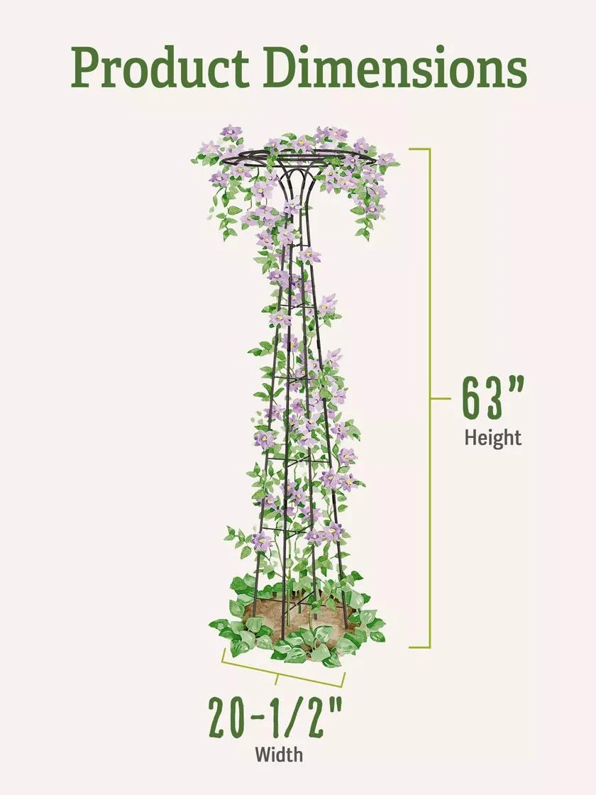 Essex Tuteur, 63" - Image 2