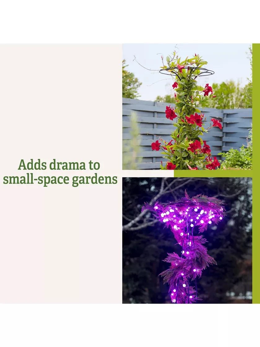 Essex Tuteur, 63" - Image 6