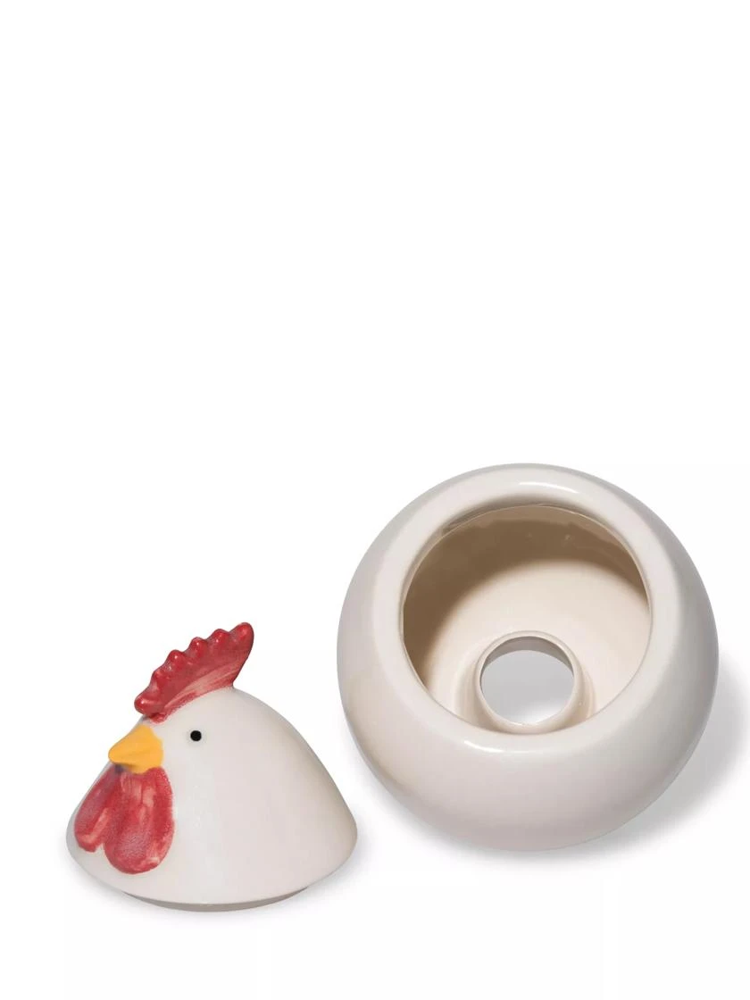 Chicken Fruit Fly Traps - Image 3