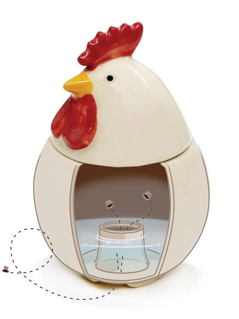 Chicken Fruit Fly Traps - Image 2