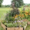 Pollinator Garden Bed