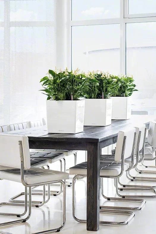 Lechuza® Cube Premium Planters