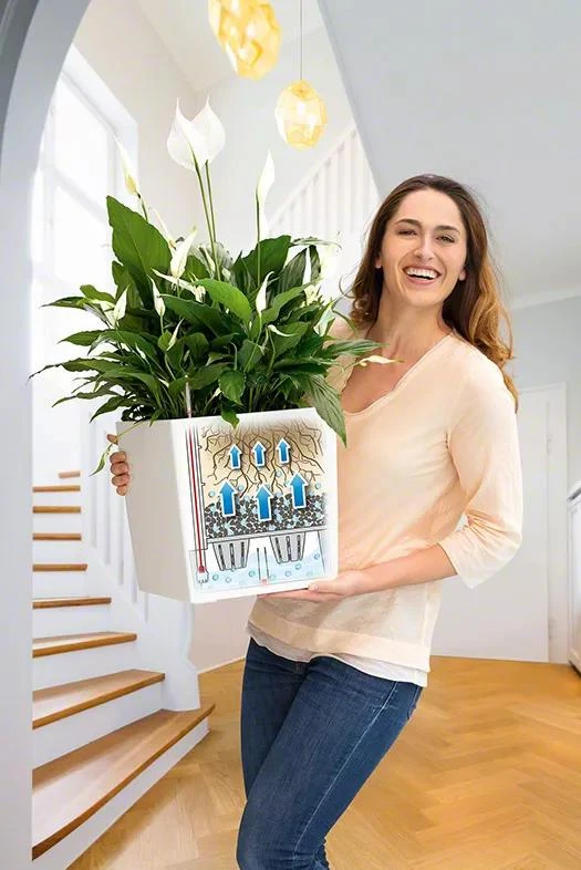 Lechuza® Cube Premium Planters - Image 2