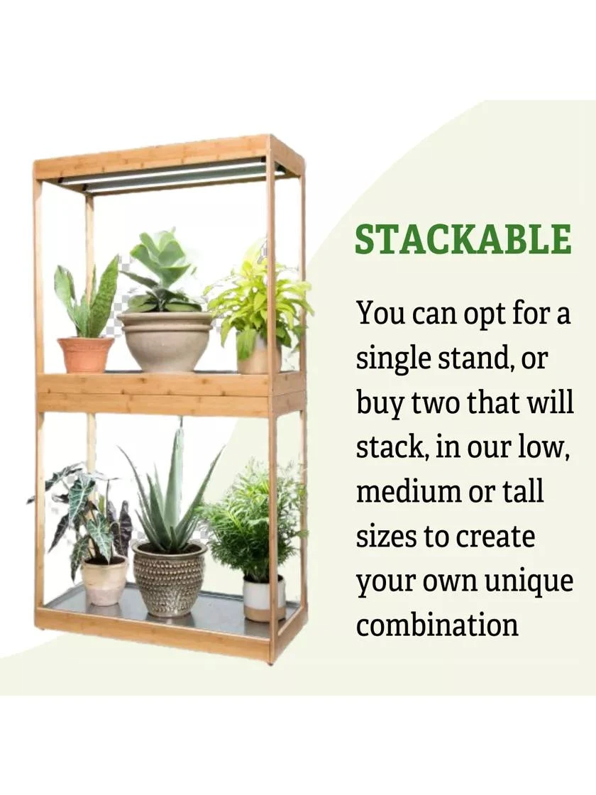 Medium Bamboo LED Grow Light Garden - Image 5