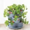 Stacking Strawberry Pot