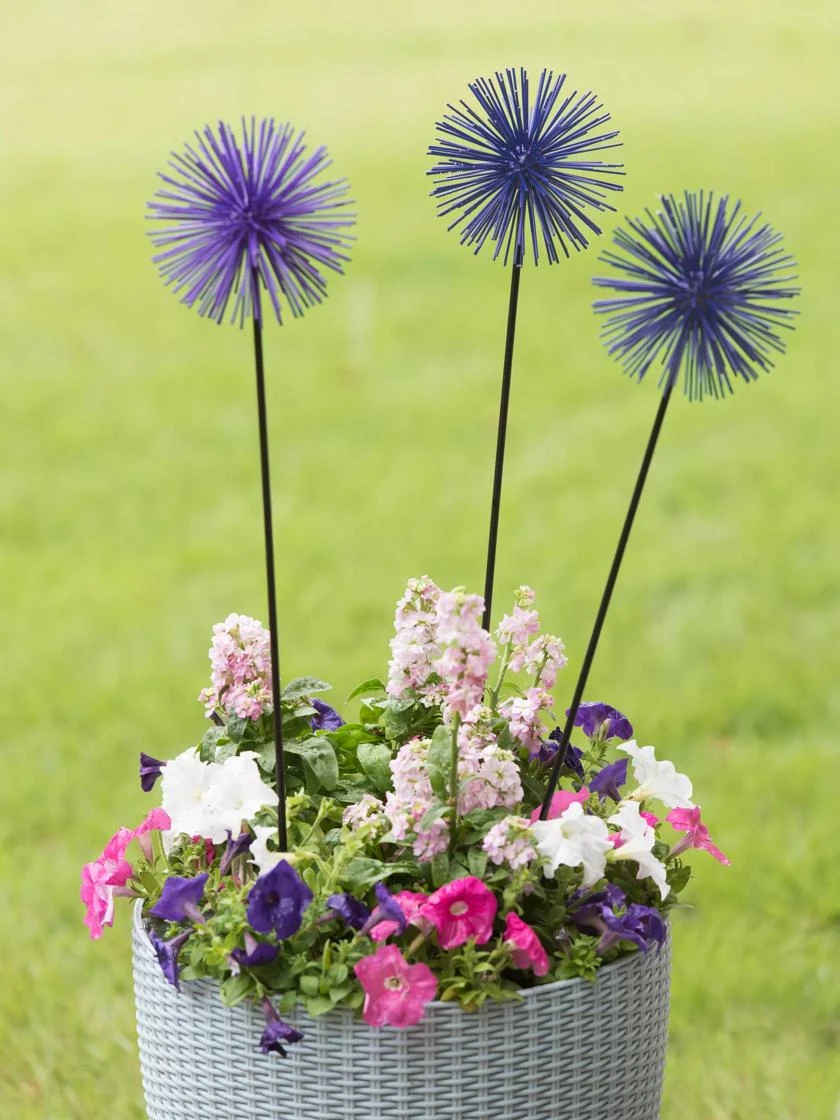 Everbloomin' Alliums, Set Of 3
