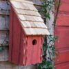 Heartwood Bluebird Bunkhouse Bird House