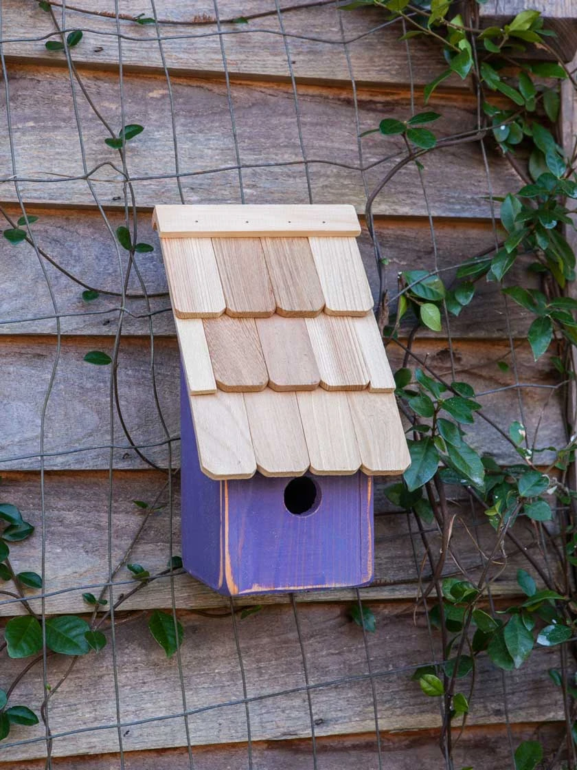 Heartwood Fruit Coops Bird House - Image 3
