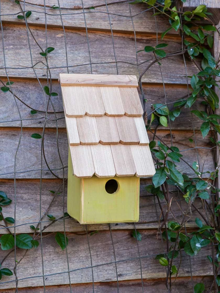 Heartwood Fruit Coops Bird House - Image 4