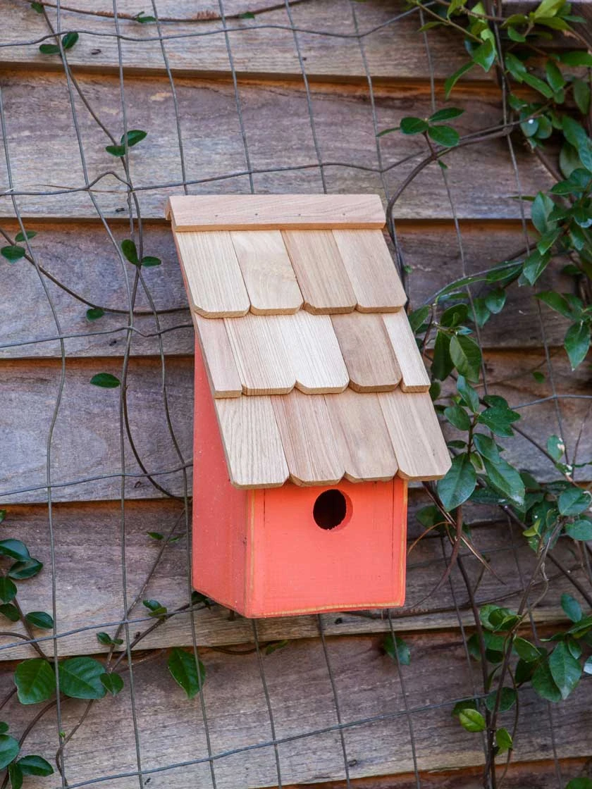 Heartwood Fruit Coops Bird House - Image 5