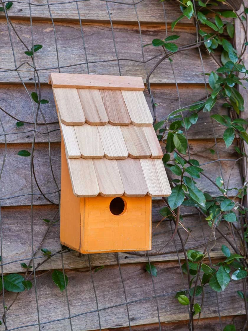 Heartwood Fruit Coops Bird House - Image 2