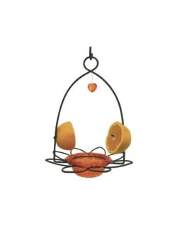 Birds Choice â„¢ Oriole Flower Feeder