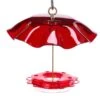 Birds Choice™ Hummingbird Nectar Feeder With Weather Guard Kit