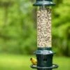 Brome ® Squirrel Buster Plus™ Bird Feeder
