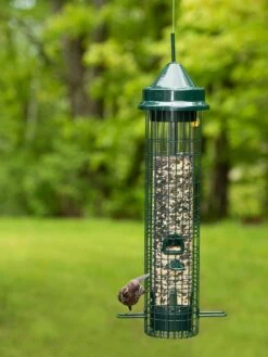Brome® Squirrel Buster⢠Classic Bird Feeder