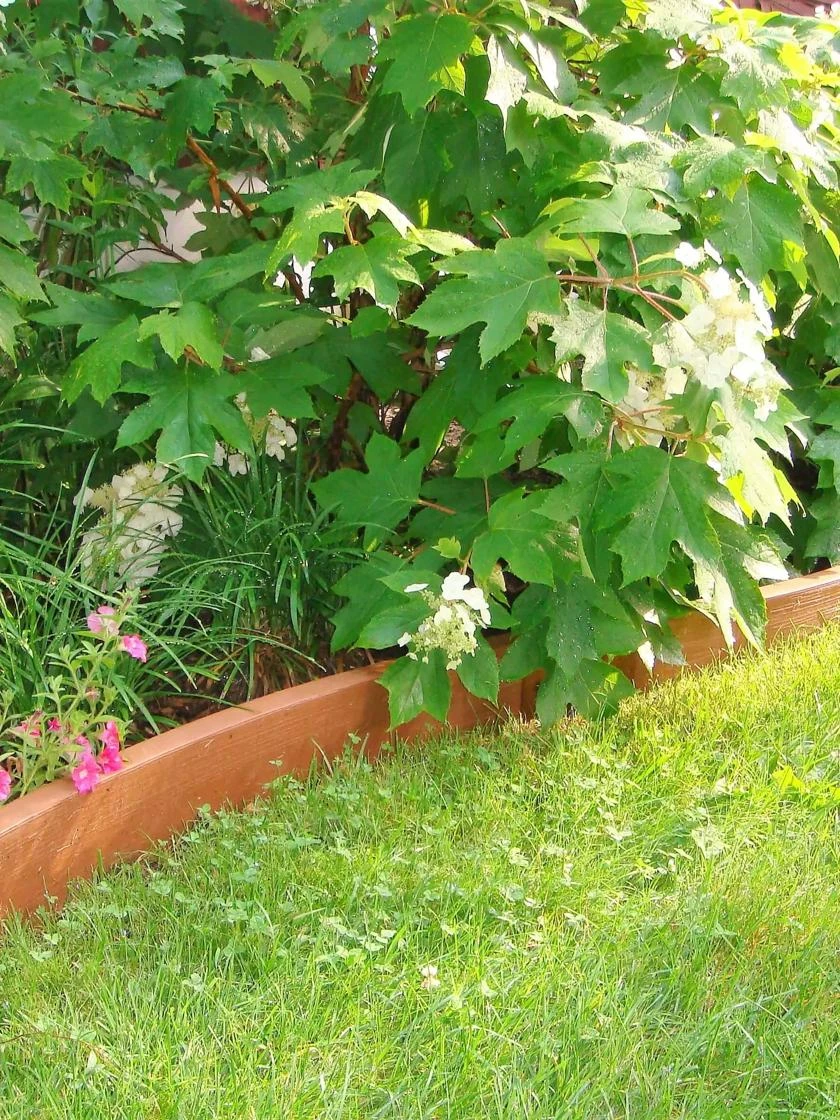 Curved Landscape Edging Kit With 2" Boards - Image 4