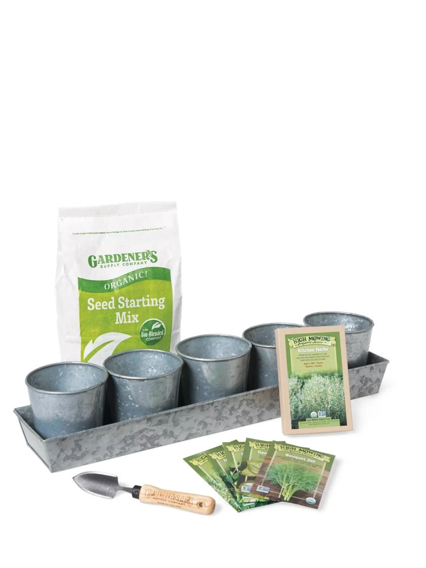 Galvanized Organic Kitchen Herbs Growing Kit - Image 2