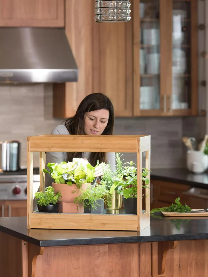 Bamboo Mini LED Grow Light Garden - Image 4