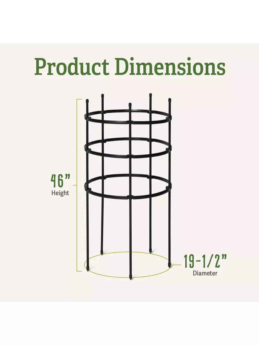 Titan Tomato Cages, Set Of 3 - Image 4