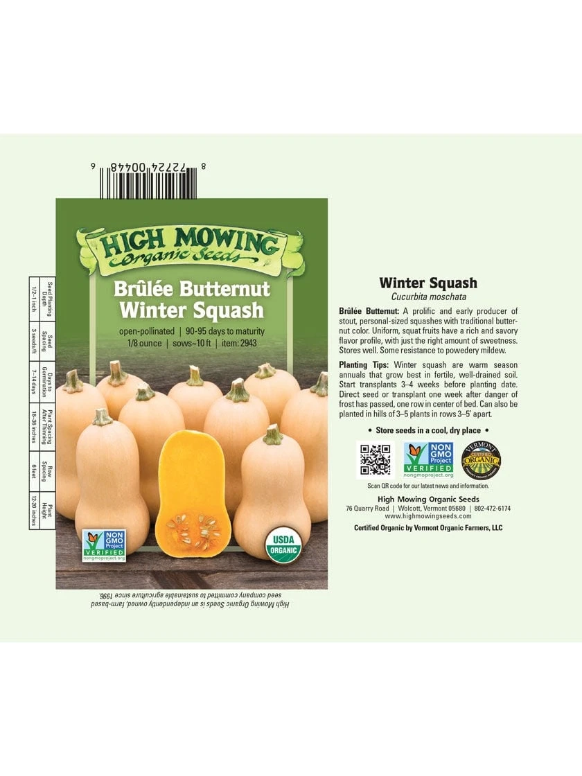 Brulee Butternut Squash Organic Seeds - Image 2