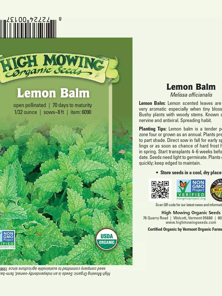 Lemon Balm Organic Seeds - Image 2
