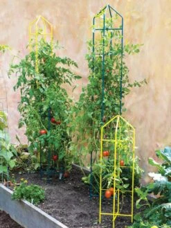 Zenith Folding Garden Supports, Set Of 2